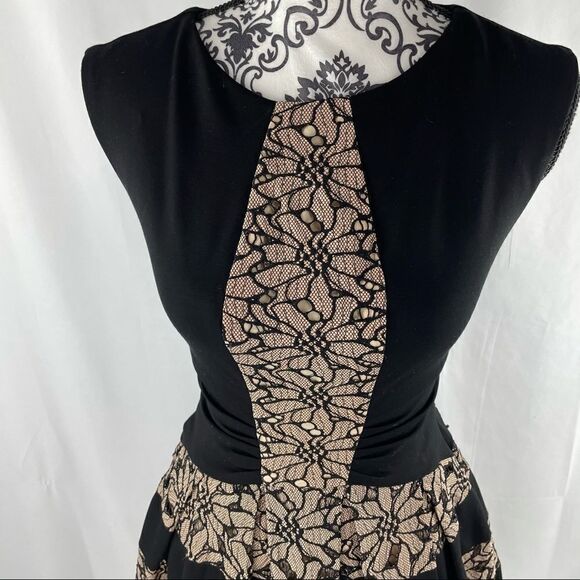 Anthropologie Eva Franco Strata Lace Flare Dress - Picture 3 of 10